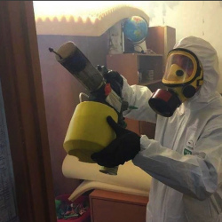 Уничтожение клопов в квартире. Углич